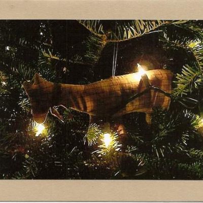 Christmas Ornaments Note Card