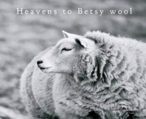Heavens To Betsy Wool